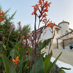 Maison d'hôtes Sunshine Countryside, Frigiliana
